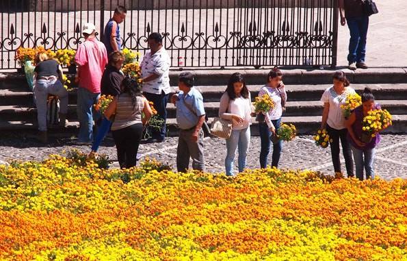 旅女子おすすめ【白い街タスコ】メキシコシティから日帰り観光ブログ