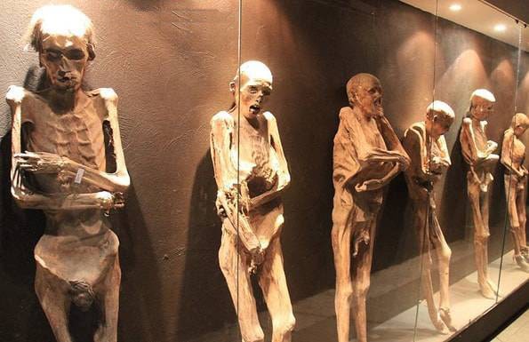 グアナファトのミイラ博物館 (Museo de las Momias de Guanajuato)