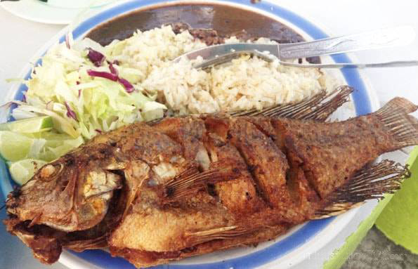 メキシコ・カンクンで食べた魚のフライ